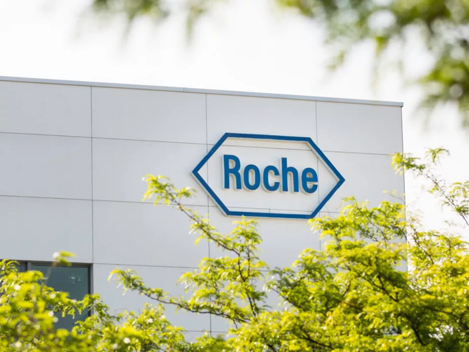 Új ügyvezető igazgató érkezett a Roche Magyarország élére