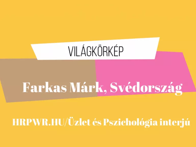 Ha meg akarod érteni a svéd modellt
