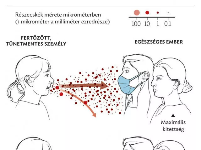 Az MTA koronavírusra vonatkozó ajánlásokat fogalmazott meg