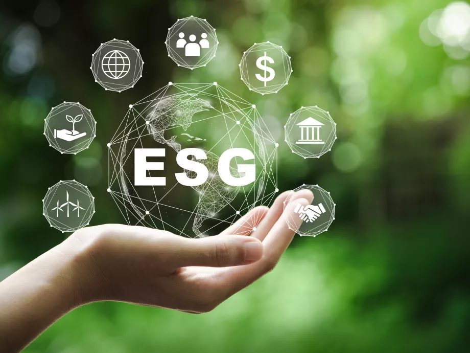 A magyar vállalatok többsége nem is tudja, mit jelent az ESG-vel kapcsolatos jogszabály