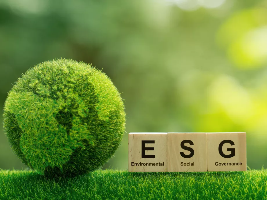 Egyre többeket érint az ESG-szabályozás, a hazai szervezetek mégsem tartják kiemelten fontosnak a fenntarthatóságot