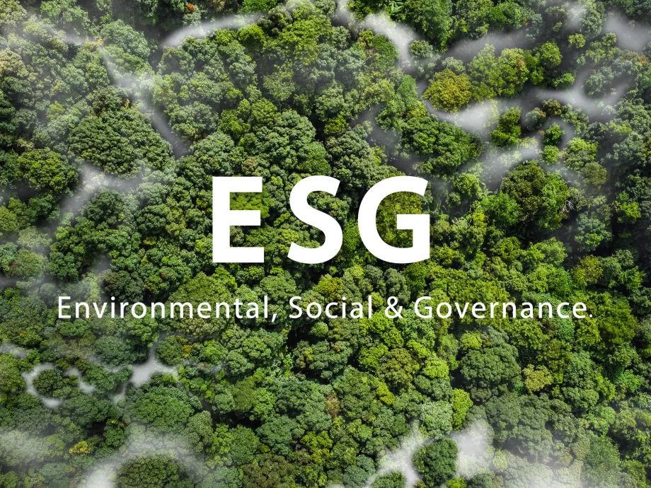 Az ESG-forradalom elérte a munkahelyeket, erre számíthatnak a HR osztályok