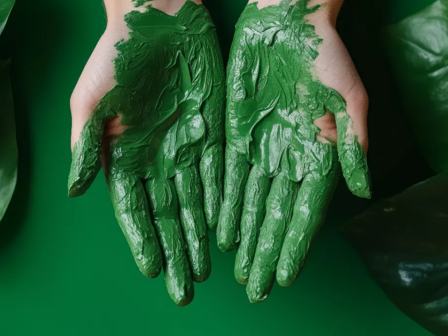 Nem minden zöld, ami annak látszik – így ismerheted fel a greenwashingot