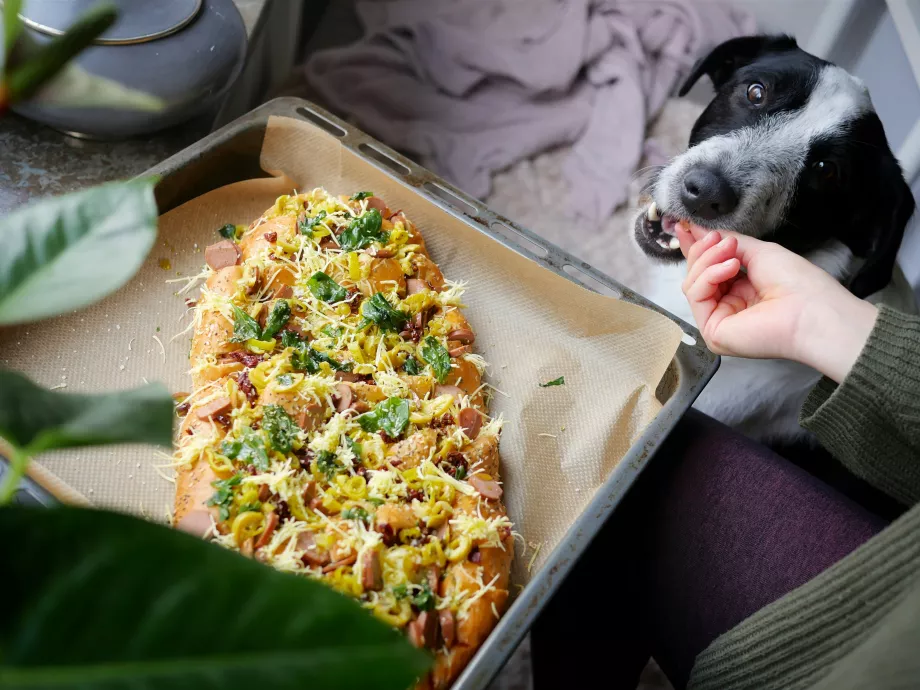 Nem csupán a káposzta, hanem te is (túl)töltötté váltál? Jön a Veganuár, hogy ezen segítsen!