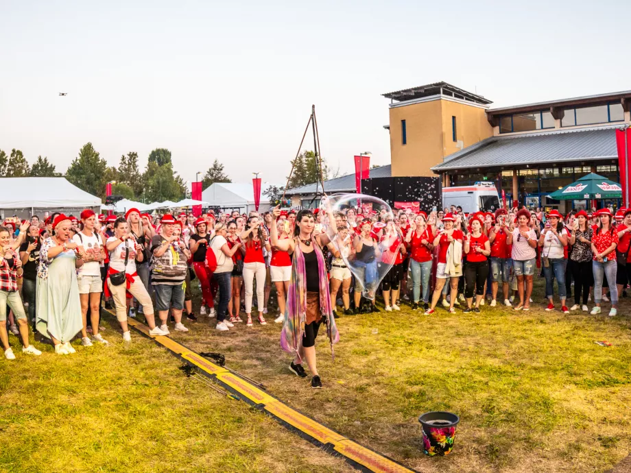 HRKOMM AWARD: Hogyan lettünk arany díjazottak 2024-ben? – Rossmann Magyarország